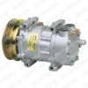 DELPHI TSP0155289 Compressor, air conditioning